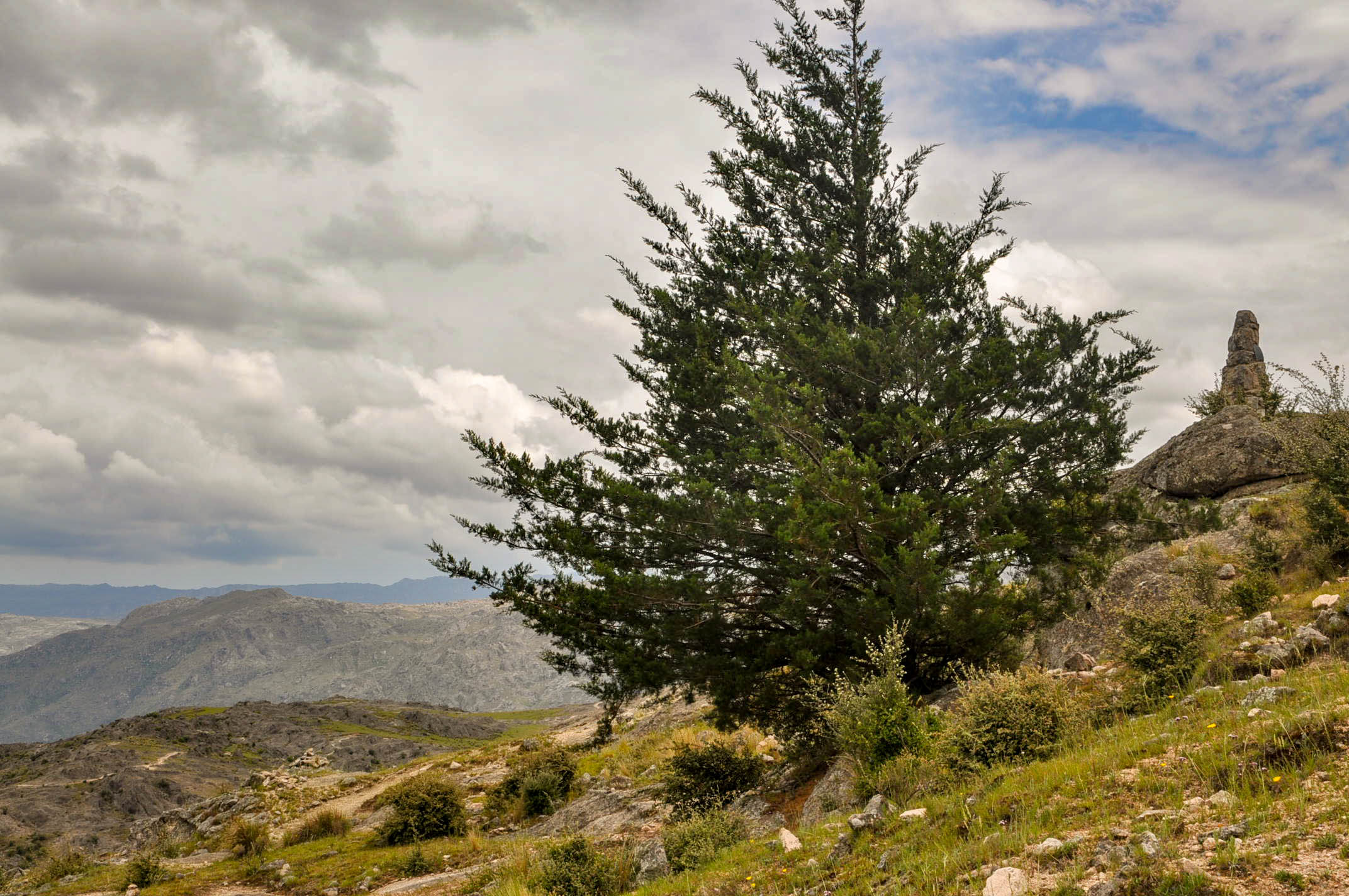 Trekking al Cerro Wank en La Cumbrecita