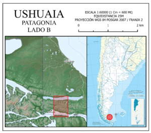 Cuadro de Situación